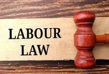 Labour Disputes Tribunal/Courts